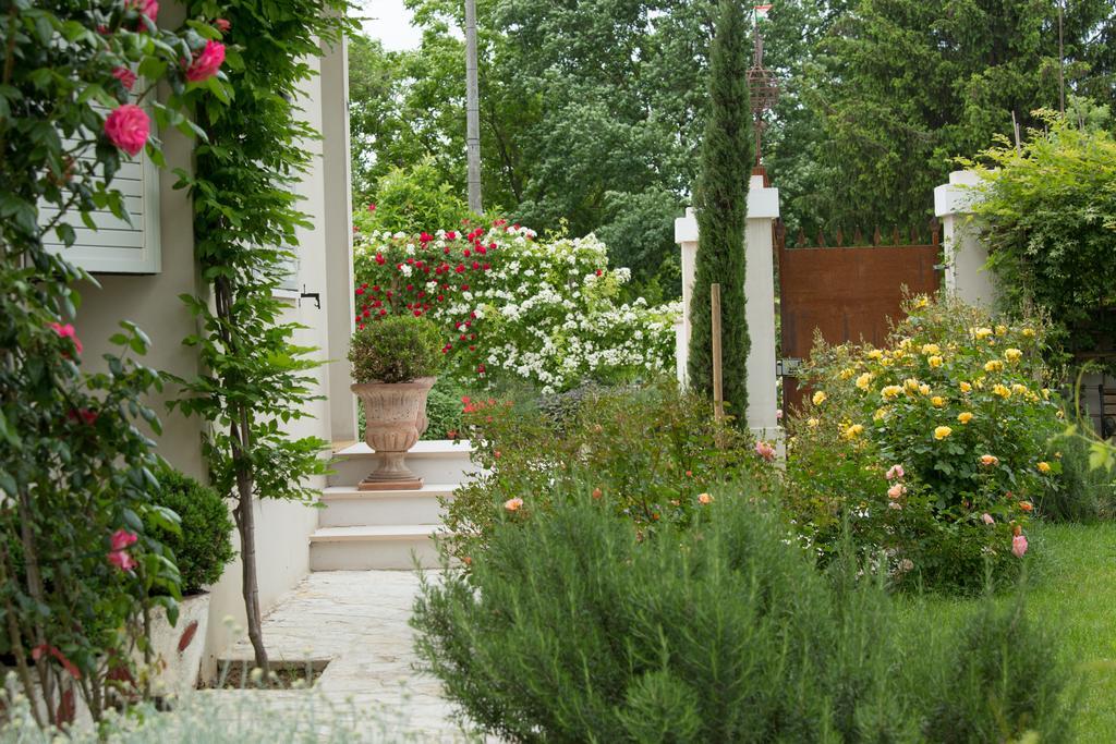 Ca'Bevilacqua Bed&Breakfast 베르티노로 외부 사진