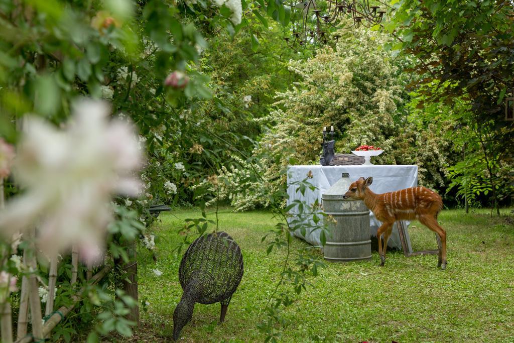 Ca'Bevilacqua Bed&Breakfast 베르티노로 외부 사진
