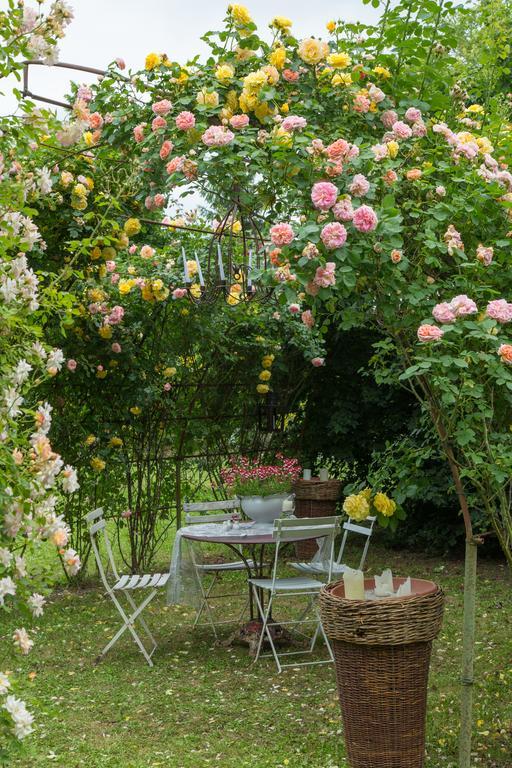 Ca'Bevilacqua Bed&Breakfast 베르티노로 외부 사진